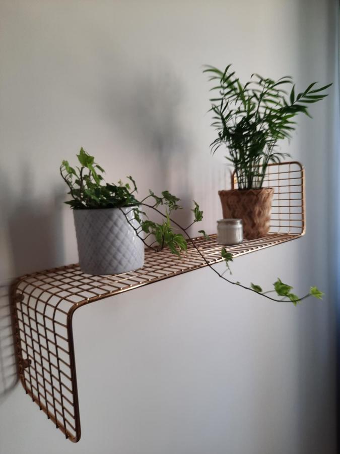 Apartament W Centrum Wroclawia Apartment Екстериор снимка