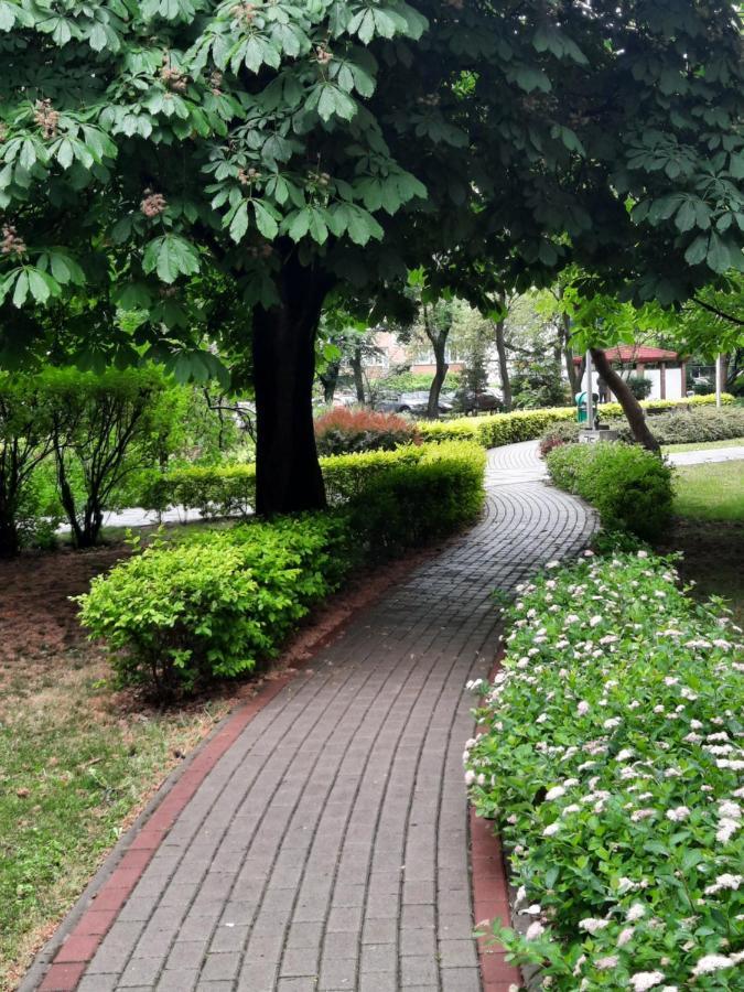 Apartament W Centrum Wroclawia Apartment Стая снимка
